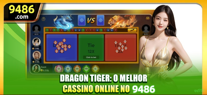 Suporte Login
